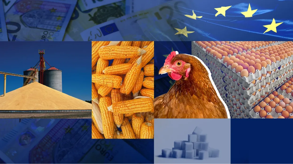 ЄС погодив нові квоти для українського агроекспорту: що зміниться для фермерів