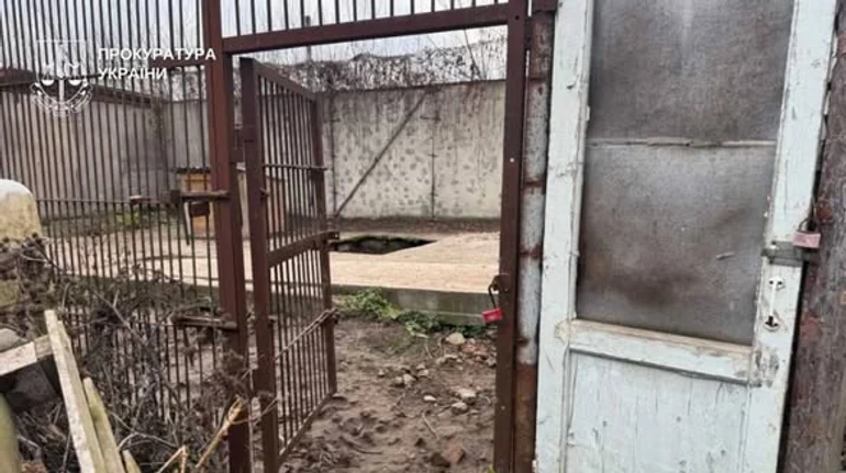 У Хмельницькому розшукують одну з двох левиць, що вибігли з місцевого центру реабілітації